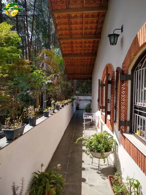 Foto 7 de Sala Comercial para alugar, 240m2 em Vila Amélia, São Paulo - SP