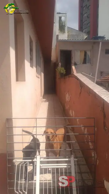 Foto 5 de Sobrado com 4 quartos à venda, 177m2 em Lauzane Paulista, São Paulo - SP