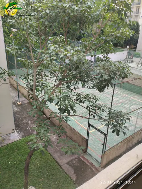 Foto 7 de Apartamento com 1 quarto para alugar, 50m2 em Lauzane Paulista, São Paulo - SP