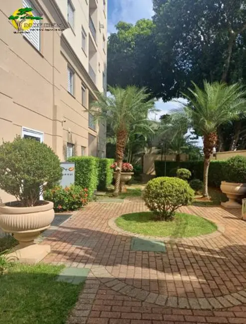 Foto 5 de Apartamento com 2 quartos para alugar, 50m2 em Lauzane Paulista, São Paulo - SP