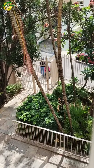 Foto 7 de Apartamento com 2 quartos à venda, 85m2 em Vila Paulicéia, São Paulo - SP