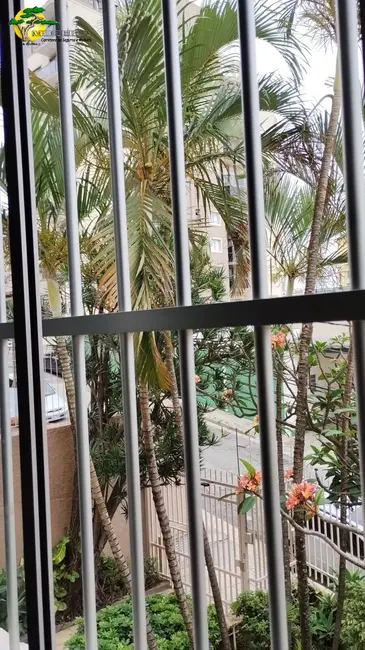 Foto 8 de Apartamento com 2 quartos à venda, 85m2 em Vila Paulicéia, São Paulo - SP