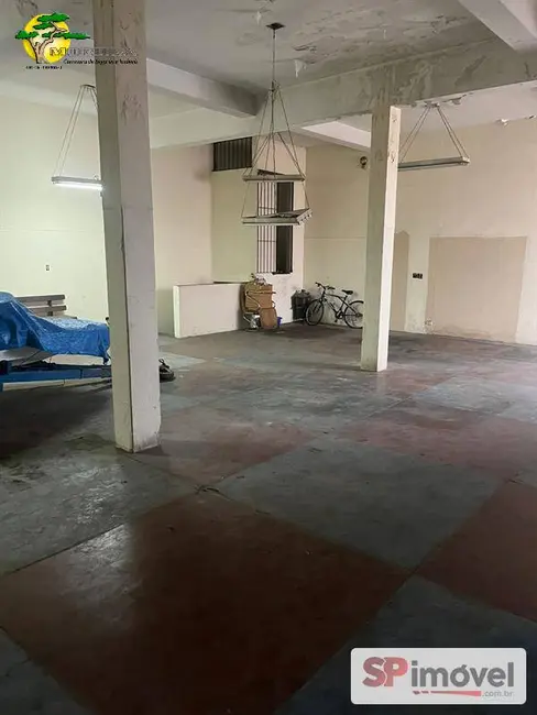 Foto 8 de Sala Comercial para alugar, 1000m2 em Vila Albertina, São Paulo - SP