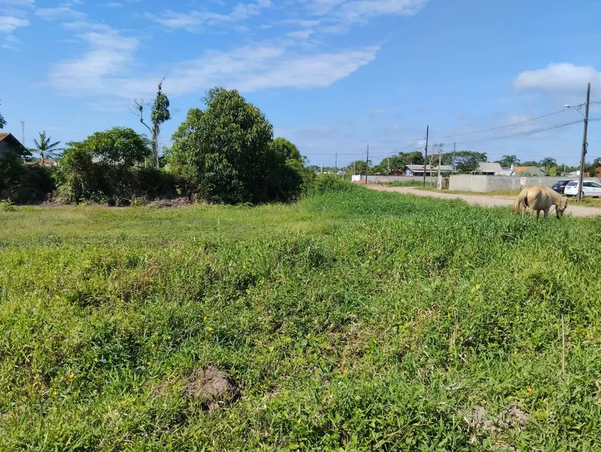 Terreno / Lote à venda, 450m2 em Balneario Barra Do Sul - SC - imagem 4 Foto 4 de Terreno / Lote à venda, 450m2 em Balneario Barra Do Sul - SC