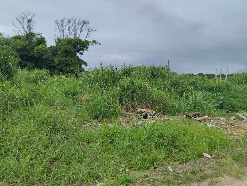Terreno / Lote à venda, 325m2 em Balneario Barra Do Sul - SC - imagem 3 Foto 3 de Terreno / Lote à venda, 325m2 em Balneario Barra Do Sul - SC