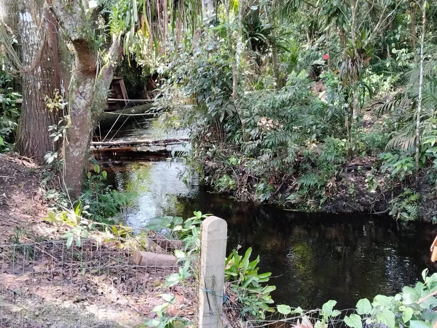 Foto 5 de Chácara à venda, 384m2 em Balneario Barra Do Sul - SC