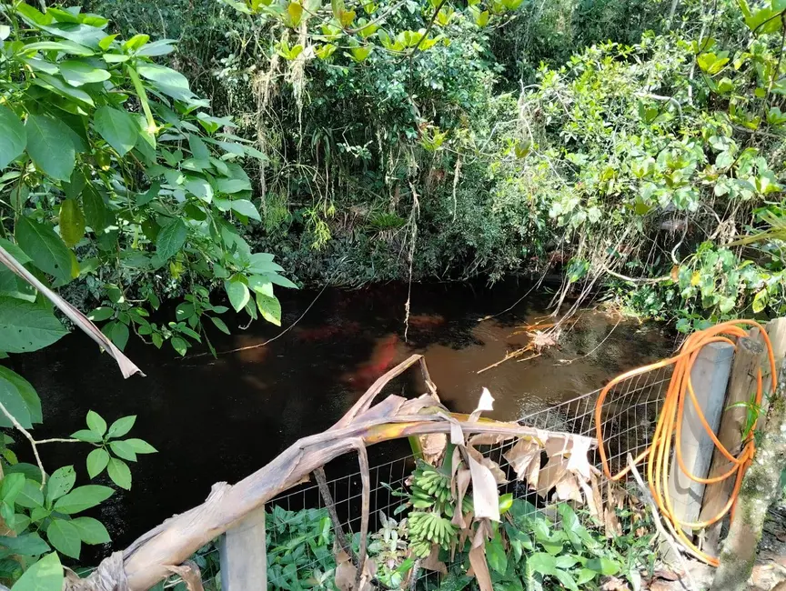Foto 4 de Chácara à venda, 384m2 em Balneario Barra Do Sul - SC