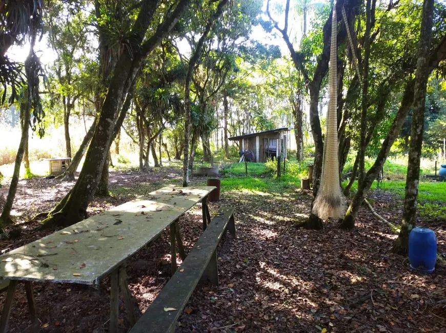 Terreno / Lote à venda, 39000m2 em Araquari - SC - imagem 3 Foto 3 de Terreno / Lote à venda, 39000m2 em Araquari - SC