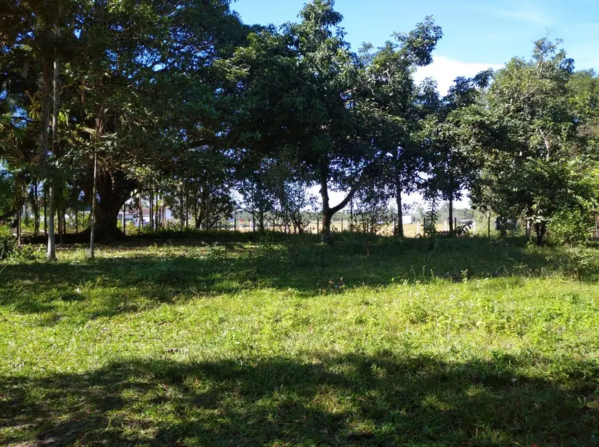 Terreno / Lote à venda, 39000m2 em Araquari - SC - imagem 8 Foto 8 de Terreno / Lote à venda, 39000m2 em Araquari - SC