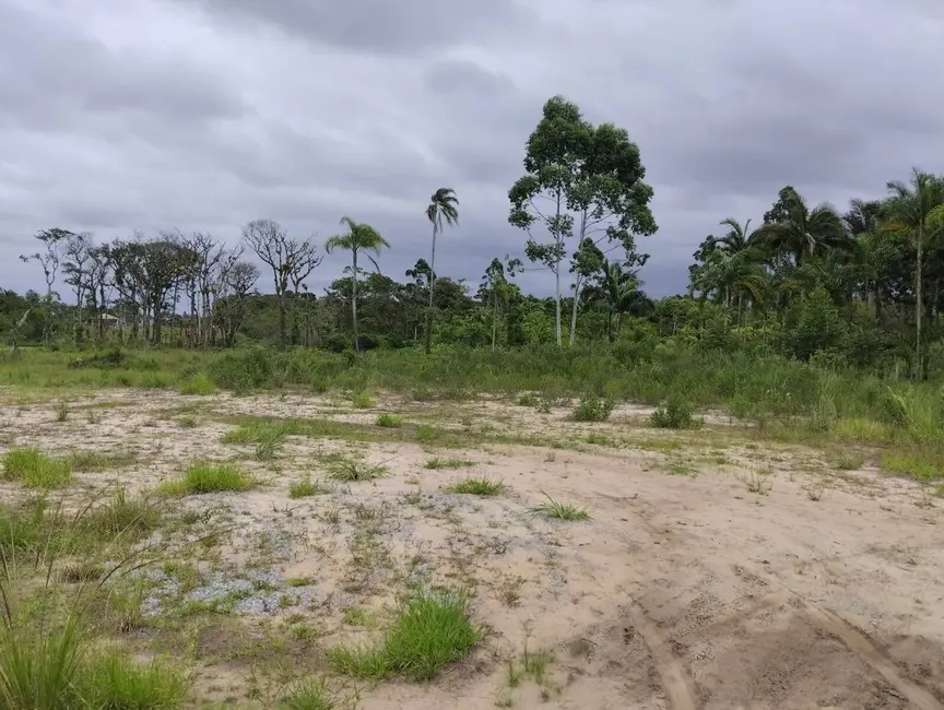 Foto 7 de Chácara à venda, 5900m2 em Balneario Barra Do Sul - SC