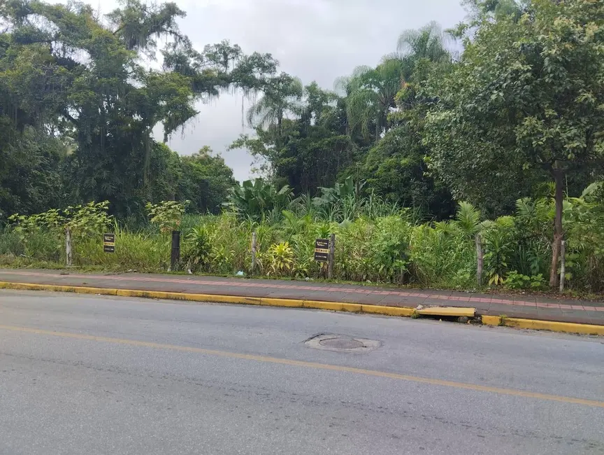 Terreno / Lote à venda, 1006m2 em Centro, Araquari - SC - imagem 8 Foto 8 de Terreno / Lote à venda, 1006m2 em Centro, Araquari - SC