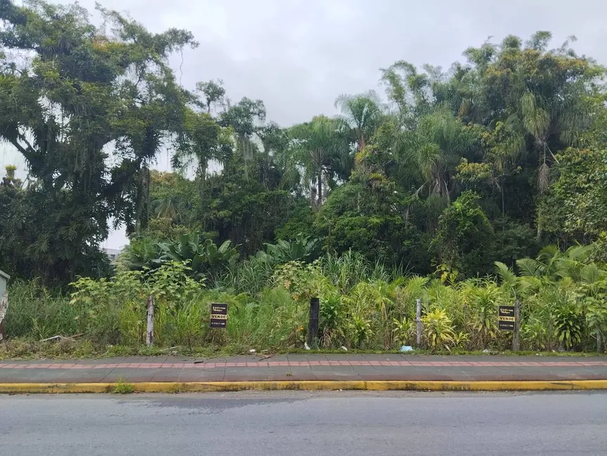 Terreno / Lote à venda, 1006m2 em Centro, Araquari - SC - imagem 7 Foto 7 de Terreno / Lote à venda, 1006m2 em Centro, Araquari - SC