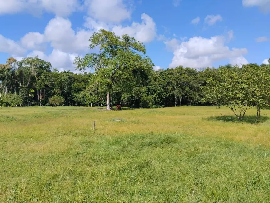 Terreno / Lote à venda, 12291m2 em Centro, Araquari - SC - imagem 7 Foto 7 de Terreno / Lote à venda, 12291m2 em Centro, Araquari - SC