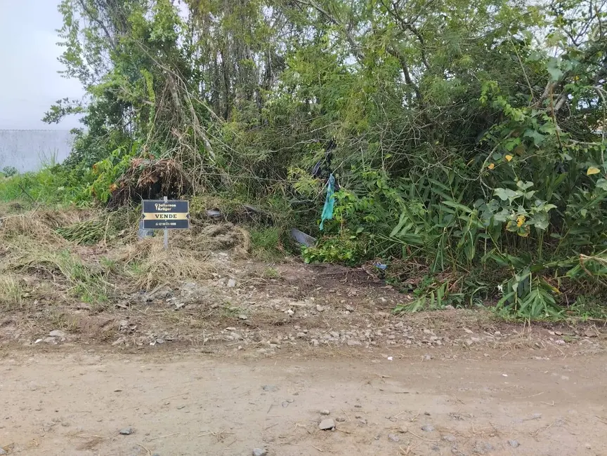 Foto 5 de Terreno / Lote à venda, 300m2 em Ubatuba, Sao Francisco Do Sul - SC