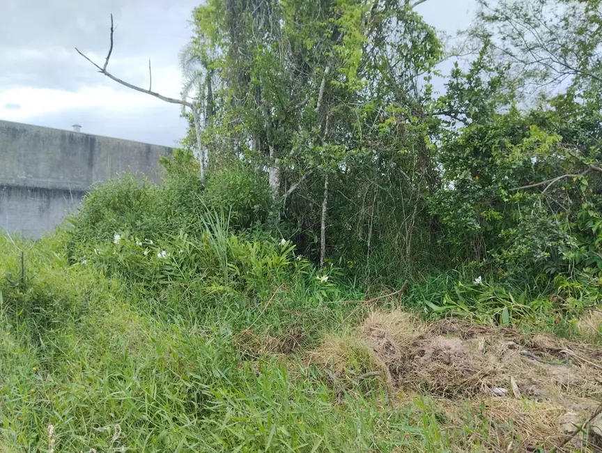 Foto 8 de Terreno / Lote à venda, 300m2 em Ubatuba, Sao Francisco Do Sul - SC