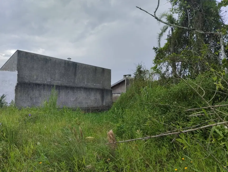 Foto 7 de Terreno / Lote à venda, 300m2 em Ubatuba, Sao Francisco Do Sul - SC
