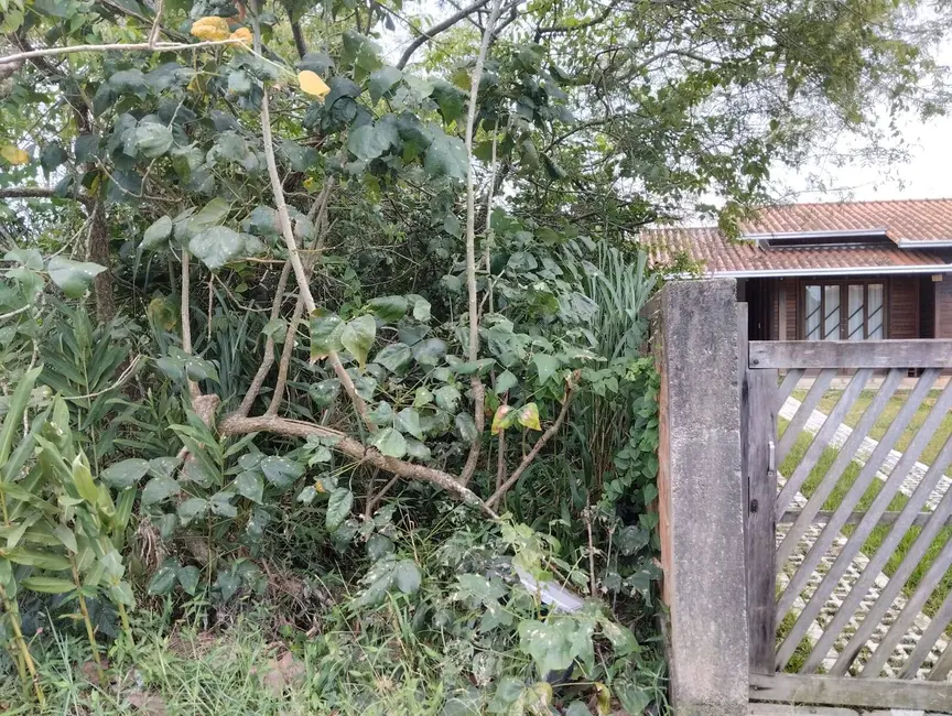 Foto 6 de Terreno / Lote à venda, 300m2 em Ubatuba, Sao Francisco Do Sul - SC