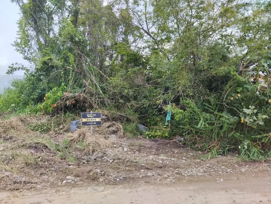 Foto 3 de Terreno / Lote à venda, 300m2 em Ubatuba, Sao Francisco Do Sul - SC