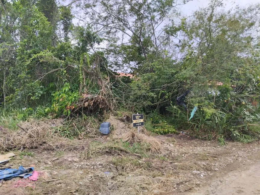 Foto 4 de Terreno / Lote à venda, 300m2 em Ubatuba, Sao Francisco Do Sul - SC