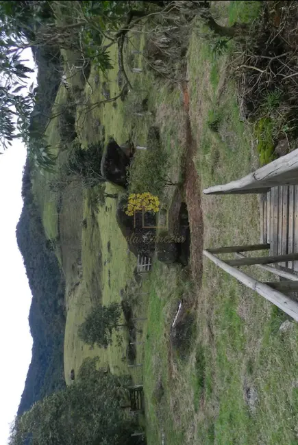 Foto 8 de Chácara com 2 quartos à venda em Sao Jose Dos Campos - SP