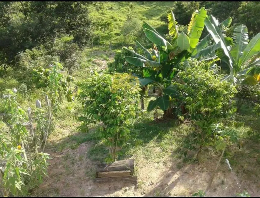 Foto 8 de Casa com 1 quarto à venda em Sao Jose Dos Campos - SP