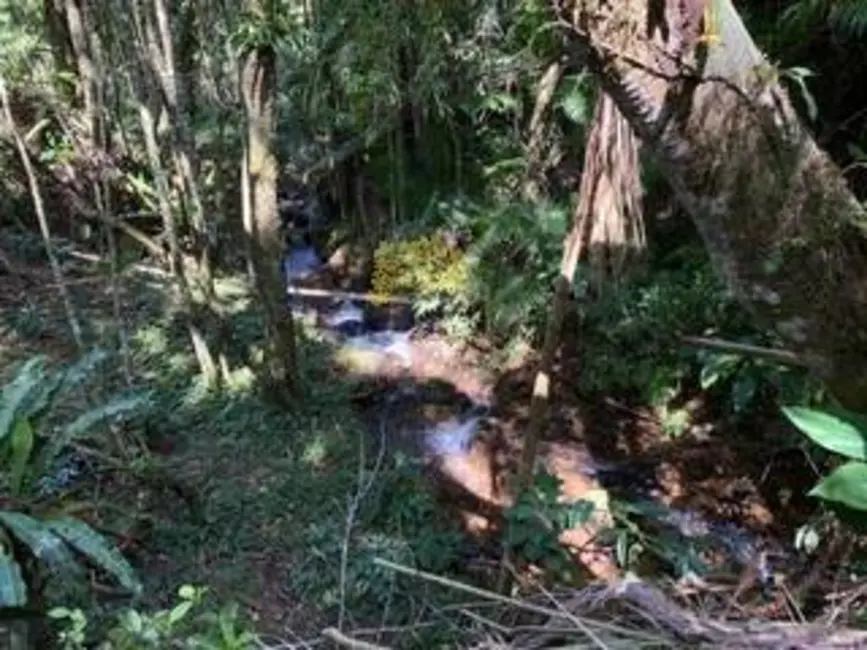 Sítio / Rancho com 7 quartos à venda, 1000m2 em Sao Jose Dos Campos - SP - imagem 8 Foto 8 de Sítio / Rancho com 7 quartos à venda, 1000m2 em Sao Jose Dos Campos - SP