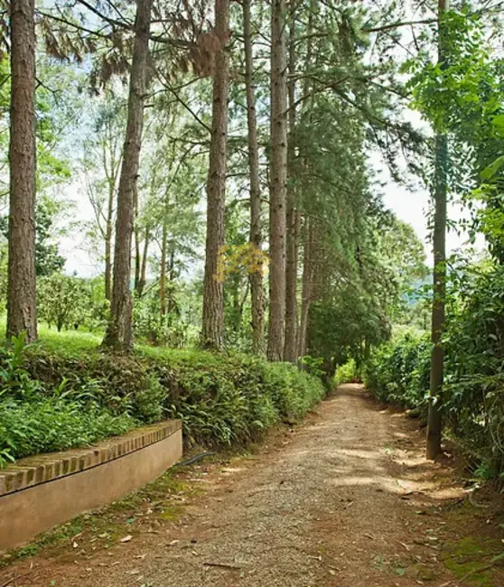 Sítio / Rancho com 7 quartos à venda, 1000m2 em Sao Jose Dos Campos - SP - imagem 9 Foto 9 de Sítio / Rancho com 7 quartos à venda, 1000m2 em Sao Jose Dos Campos - SP