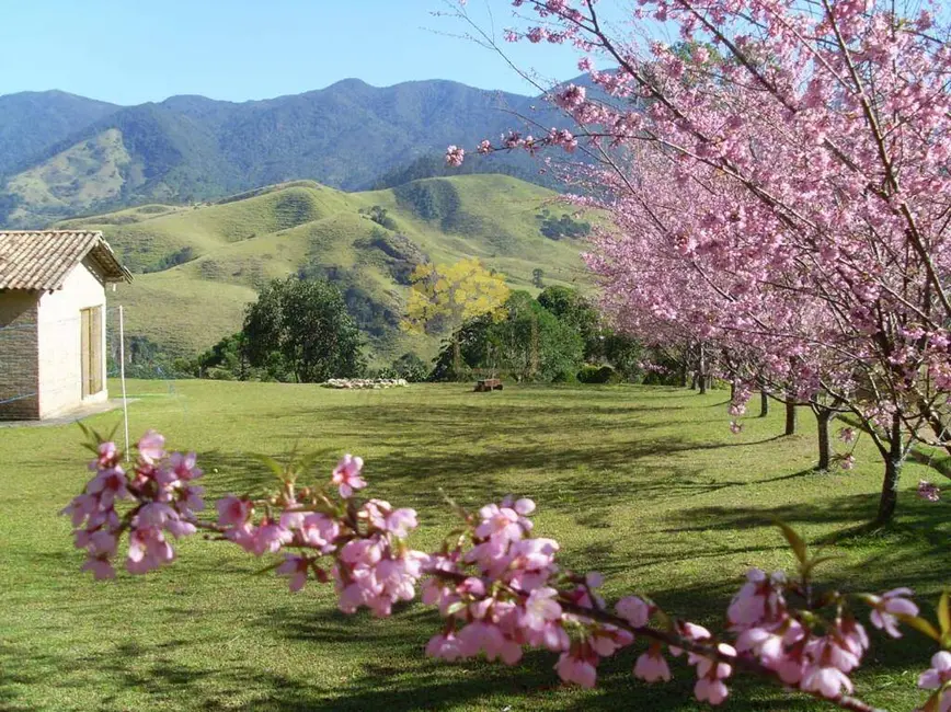 Foto 5 de Sítio / Rancho com 3 quartos à venda, 250m2 em Sao Jose Dos Campos - SP
