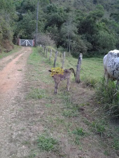 Foto 8 de Chácara com 3 quartos à venda em Sao Jose Dos Campos - SP