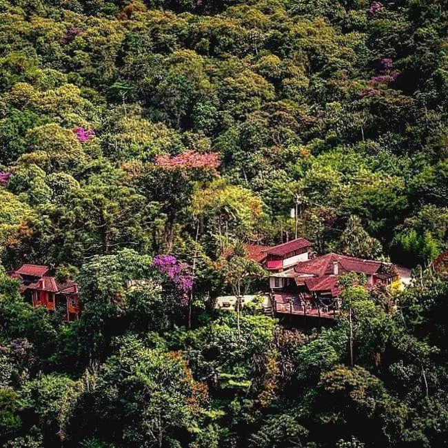 Chácara à venda em Sao Jose Dos Campos - SP - imagem 8 Foto 8 de Chácara à venda em Sao Jose Dos Campos - SP