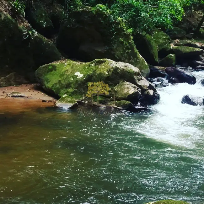 Chácara à venda em Sao Jose Dos Campos - SP - imagem 9 Foto 9 de Chácara à venda em Sao Jose Dos Campos - SP