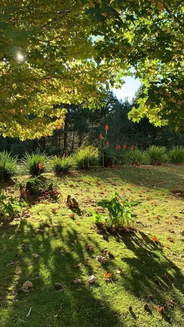 Foto 6 de Casa com 4 quartos à venda em Campos Do Jordao - SP