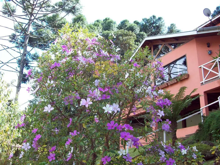 Sala Comercial à venda e para alugar, 600m2 em Centro, Goncalves - MG - imagem 4 Foto 4 de Sala Comercial à venda e para alugar, 600m2 em Centro, Goncalves - MG