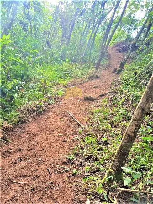Foto 8 de Fazenda / Haras à venda em Sao Jose Dos Campos - SP