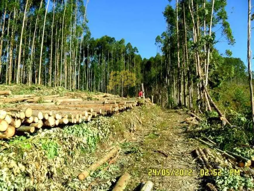 Foto 5 de Fazenda / Haras à venda em Sao Jose Dos Campos - SP