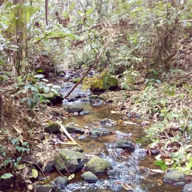 Foto 5 de Sítio / Rancho com 2 quartos à venda, 200m2 em Sao Jose Dos Campos - SP