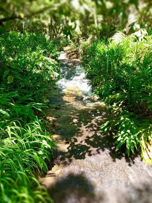 Foto 9 de Sítio / Rancho com 2 quartos à venda, 200m2 em Sao Jose Dos Campos - SP