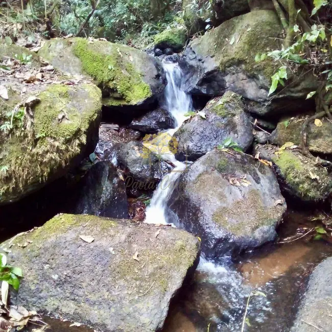 Foto 3 de Sítio / Rancho com 2 quartos à venda, 200m2 em Sao Jose Dos Campos - SP