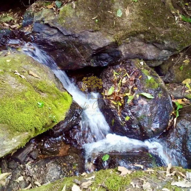Foto 4 de Sítio / Rancho com 2 quartos à venda, 200m2 em Sao Jose Dos Campos - SP