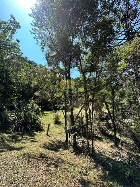 Foto 4 de Terreno / Lote à venda, 36000m2 em Sao Jose Dos Campos - SP