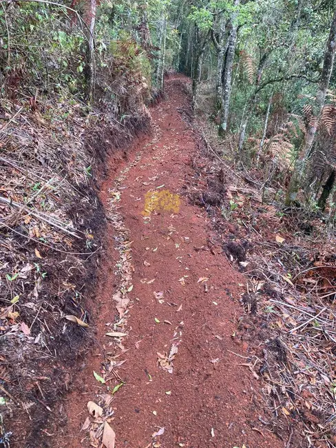 Foto 9 de Terreno / Lote à venda em Sao Jose Dos Campos - SP