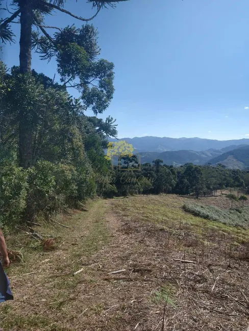 Terreno / Lote à venda, 20000m2 em Sao Jose Dos Campos - SP - imagem 7 Foto 7 de Terreno / Lote à venda, 20000m2 em Sao Jose Dos Campos - SP