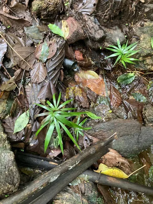 Terreno / Lote à venda, 20000m2 em Sao Jose Dos Campos - SP - imagem 9 Foto 9 de Terreno / Lote à venda, 20000m2 em Sao Jose Dos Campos - SP