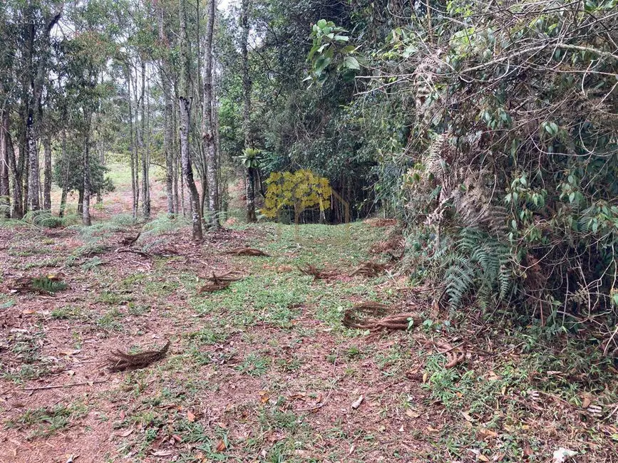 Terreno / Lote à venda, 20000m2 em Sao Jose Dos Campos - SP - imagem 8 Foto 8 de Terreno / Lote à venda, 20000m2 em Sao Jose Dos Campos - SP