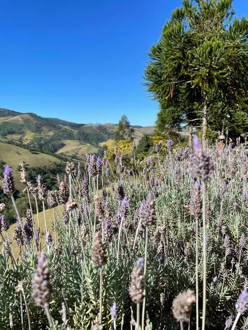 Foto 9 de Chácara com 5 quartos à venda, 400m2 em Sao Jose Dos Campos - SP
