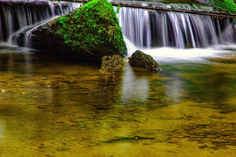 Foto 6 de Chácara com 4 quartos à venda, 200m2 em Sao Jose Dos Campos - SP