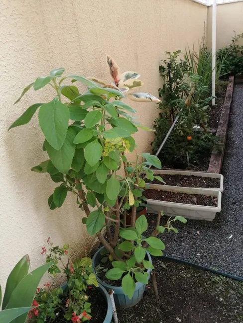 Apartamento com 2 quartos à venda e para alugar, 82m2 em Sao Jose Dos Campos - SP - imagem 3 Foto 3 de Apartamento com 2 quartos à venda e para alugar, 82m2 em Sao Jose Dos Campos - SP