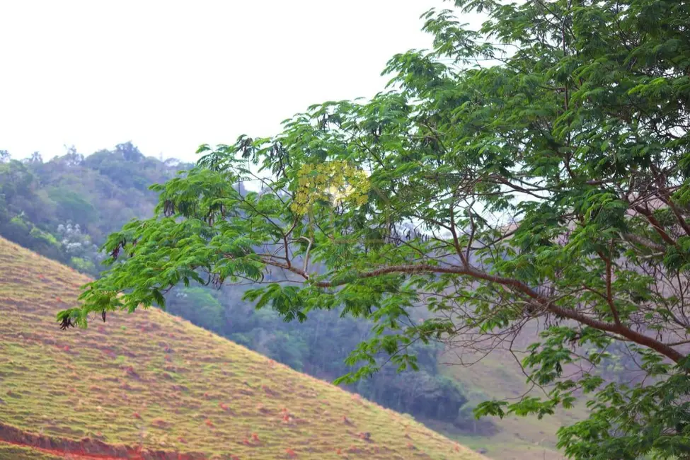 Foto 8 de Chácara à venda, 20000m2 em Sao Jose Dos Campos - SP