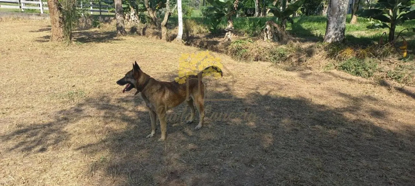 Foto 7 de Chácara com 4 quartos à venda em Sao Jose Dos Campos - SP