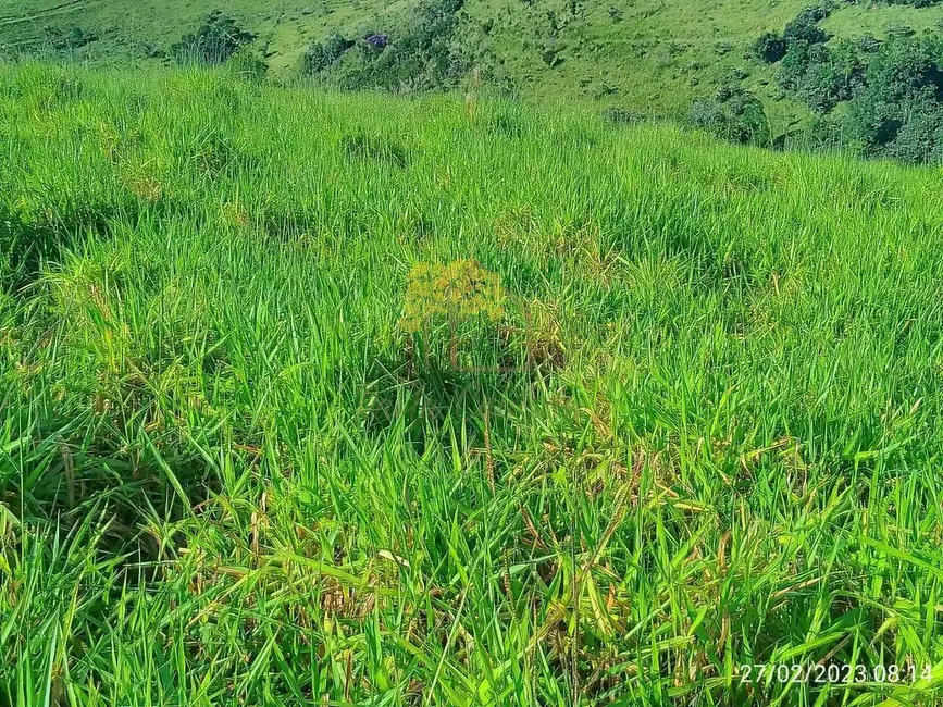 Foto 5 de Chácara com 1 quarto à venda, 140000m2 em Monteiro Lobato - SP
